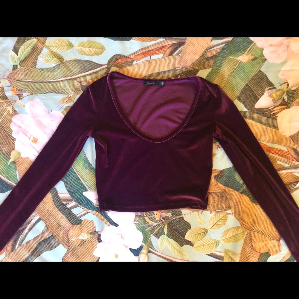 Aritzia Talula Velvet Long Sleeve Crop Top - Picture 3 of 8